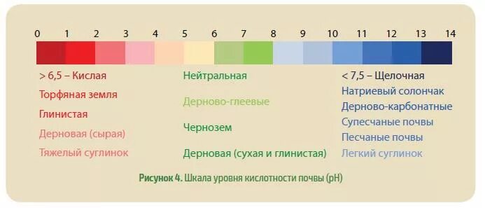 Как сделать рн