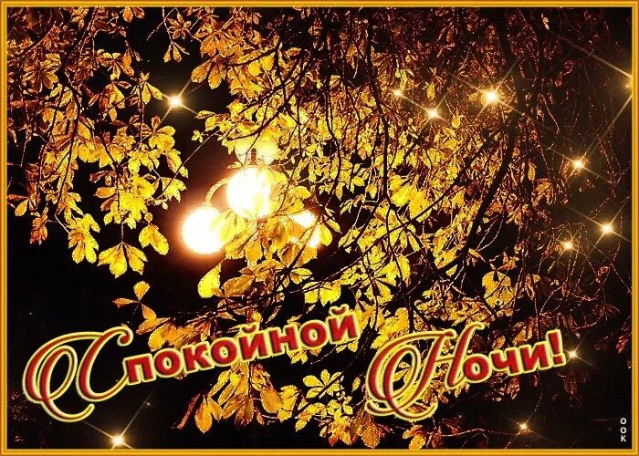 Спокойной ночи осень. Доброй ночи красивые картинки осенней приятных снов. Спокойной ночи осень. Спокойной ночи осень. Доброй осенней ночи картинки.