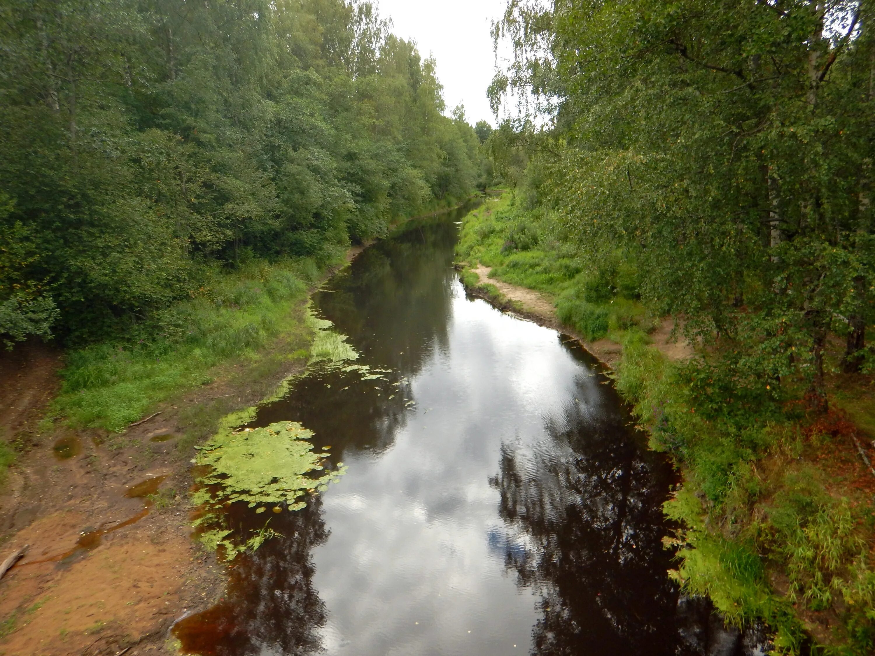 В к к реке б м. Река большая сестра. Река Нейма. Река на б. Излучина реки.