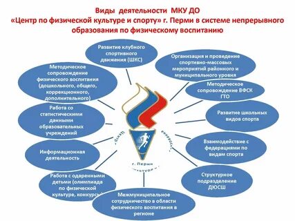 Основные направления физического образования