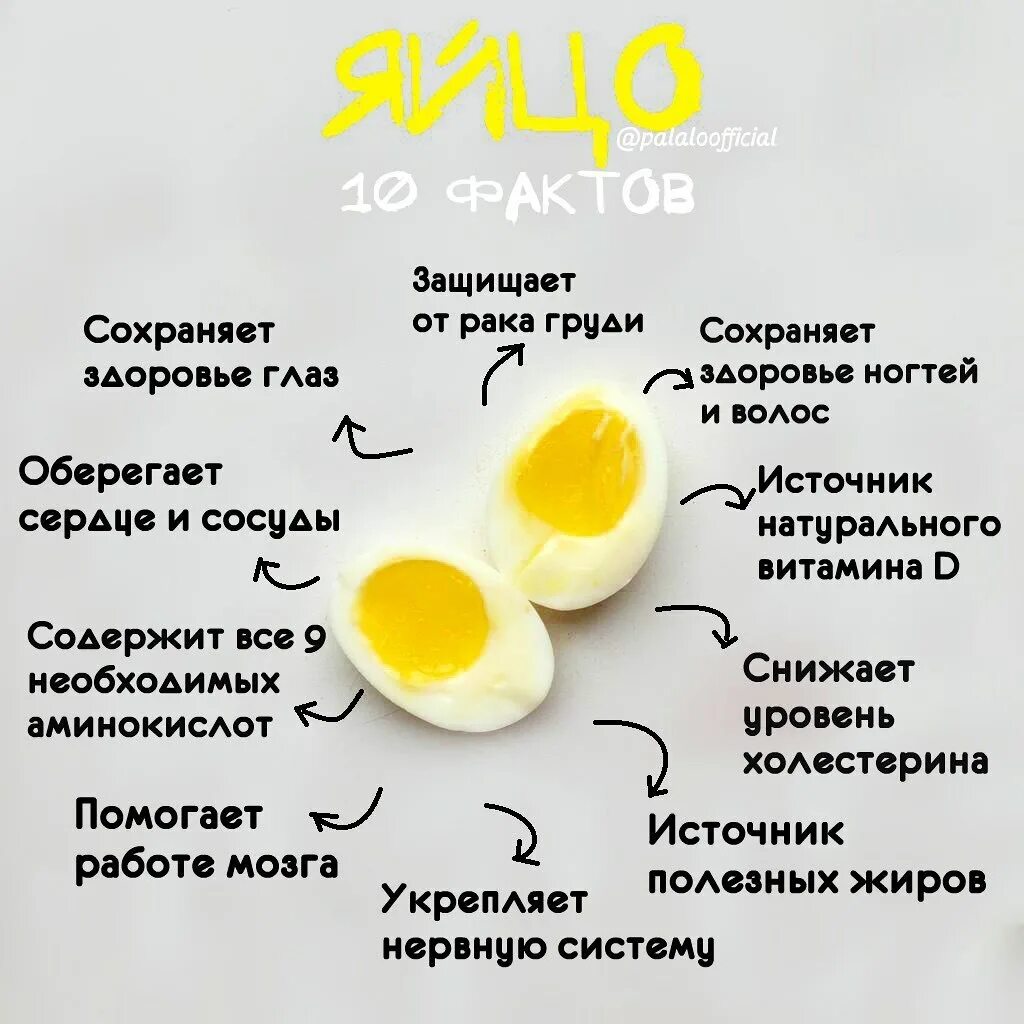 Что содержится в курином желтке