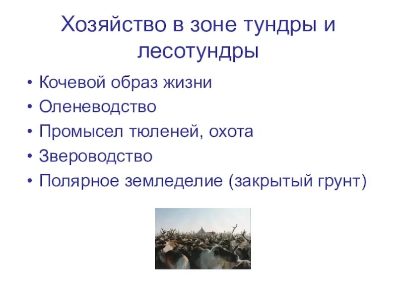 Хозяйство в тундре. Хозяйство в лесотундре. Лесотундра сельское хозяйство. Хозяйство зоны тундры. Ограничения для ведения сельского хозяйства в тундре