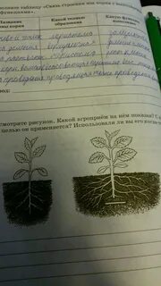С какой целью применяют агроприем