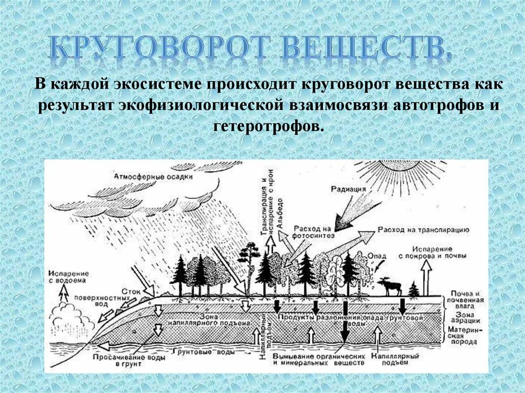 Как осуществляется круговорот веществ. Круговорот веществ. Круговорот веществ в природе. Круговорот веществ в природе схема. Круговорот веществ в биосфере.