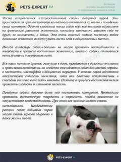 Закон о бойцовских собаках