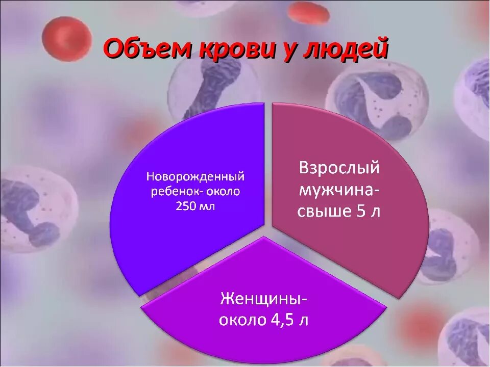 Сколько литров крови у взрослого человека мужчины. Объем крови человека. Объем крови у взрослого человека. Общее количество крови в организме взрослого человека. Объем крови у взрослого человека составляет.