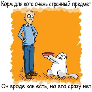Мы оставили корм для кошки и отправились