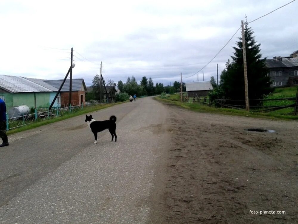 Пог мохча. Мохча коми. село мохча. площадь села мохча.
