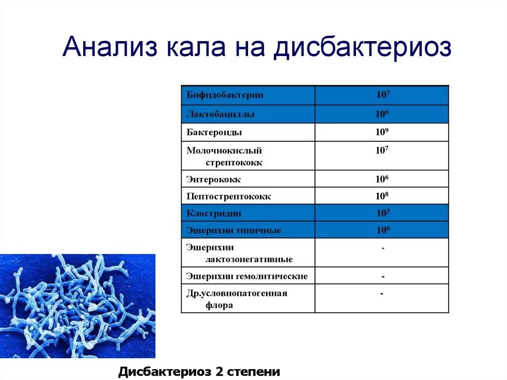 Бифидобактерии норма. Исследование кала на дисбактериоз. Анализ кала на дисбиоз. Бактериологическое исследование кала на дисбактериоз. Анализ фекалий на дисбиоз.