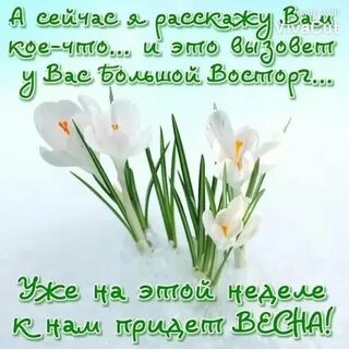 Картинка доброе утро с первым днем весны