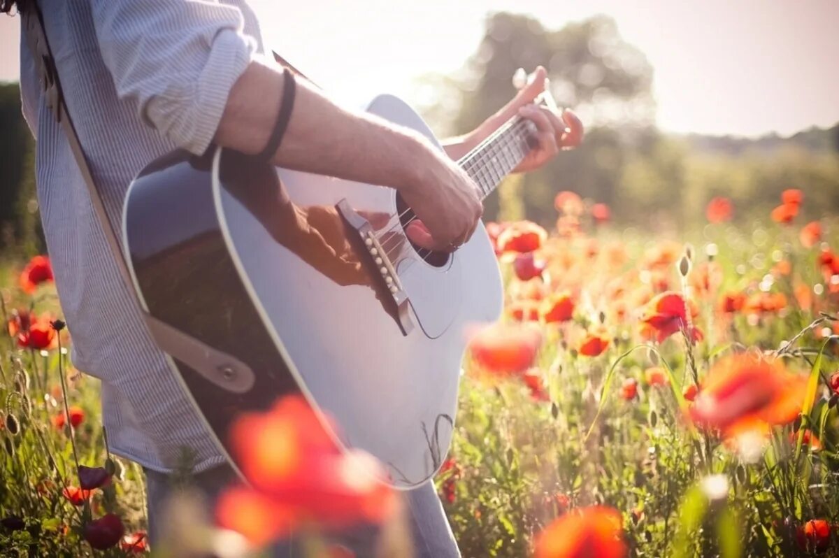 Пример из жизни музыка. Гитарист на природе. Электрогитара и цветы. Гитара лето. Гитара в цветах.