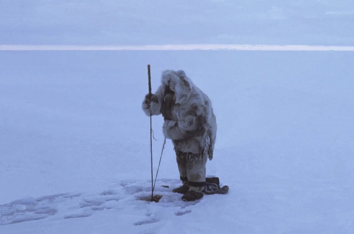 Сил хантер. Сил хантер. Seal hunter без перезарядки. Сил хантер. Seals игра.