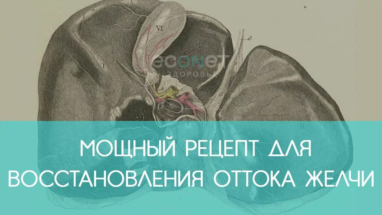 На каком боку отходит желчь. На каком боку лучше спать для оттока желчи. на каком боку лучше отток желчи. на каком боку лежать для оттока желчи. на каком боку лежать для оттока желчи после еды.