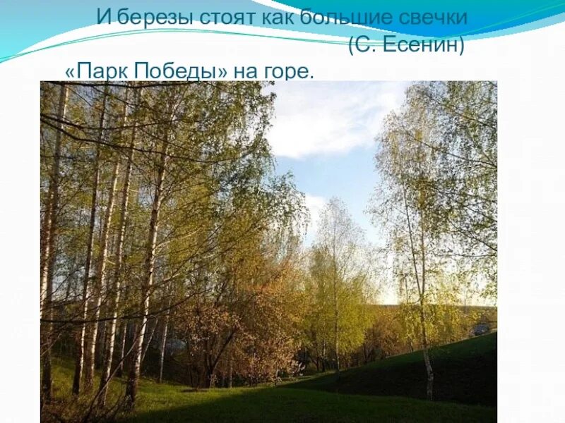 есенин вот уж вечер роса. хорошо и тепло как зимой у печки и берёзы стоят как большие свечки. «вот уж вечер. есенин вот уж вечер. стихотворение вот уж вечер есенин.