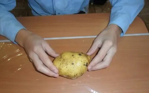 Картошка сделать картошку своими руками