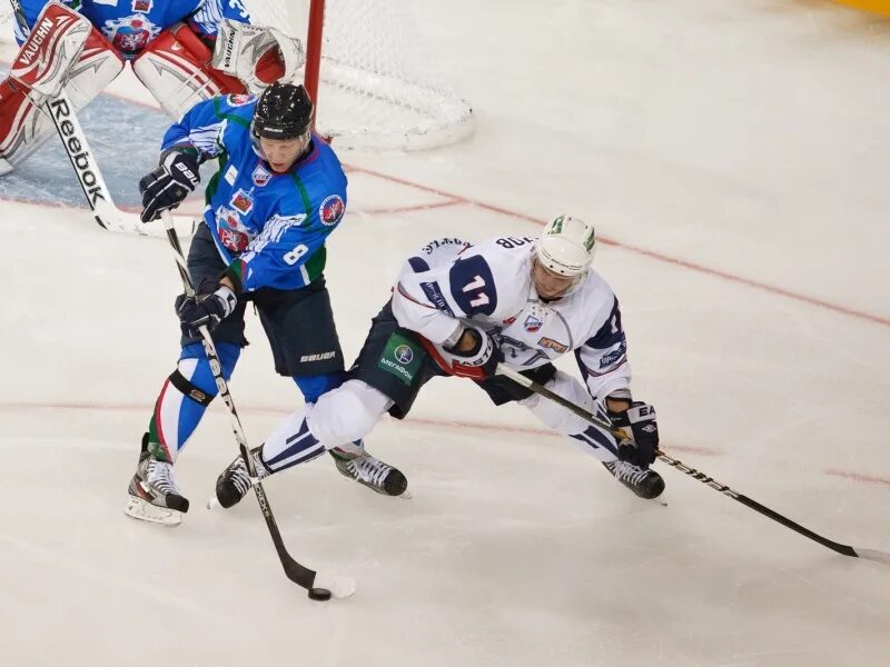 Кот хоккей. Хоккей. Хоккей канада мчм 2021. Сегодня идет хоккей. Шайба для хоккея.