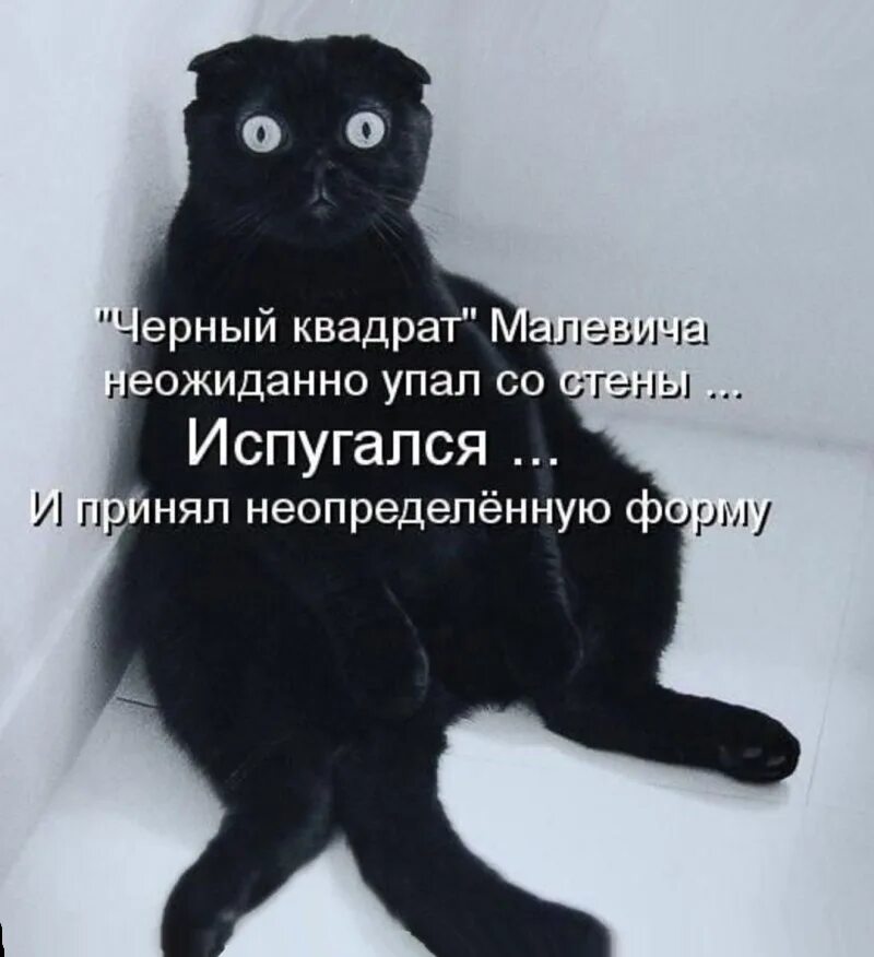 Когда чего то испугался. Удивленный таксист. Мимические упражнения для детей. Мимическая гимнастика для дошкольников. Когда чего то испугался.