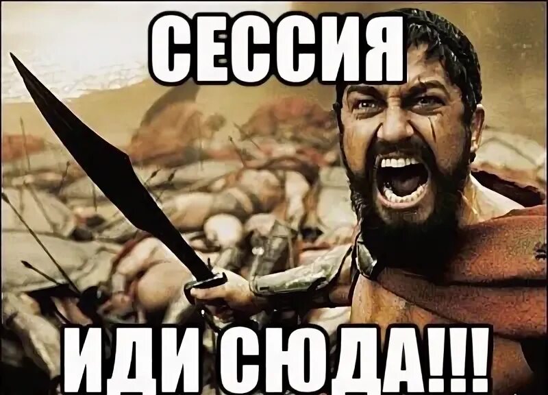 Коли сюда. Иди сюда. картинка иди сюда. иди сюда мем. сюда иди прикол.