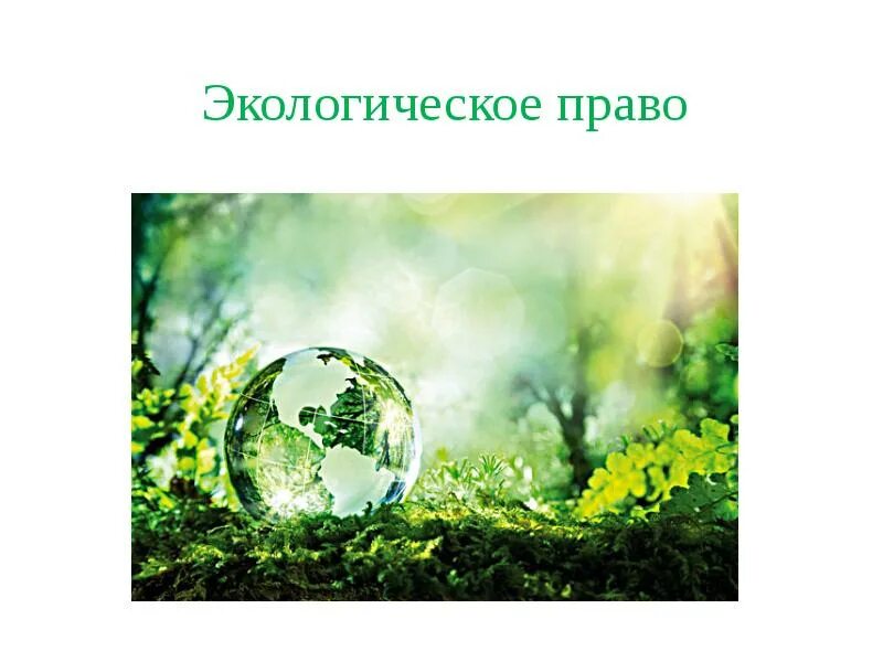 Экологическое право. Экология и право. Экологическое право презентация. Экологическое прав презентация. Экологическое право представляет собой