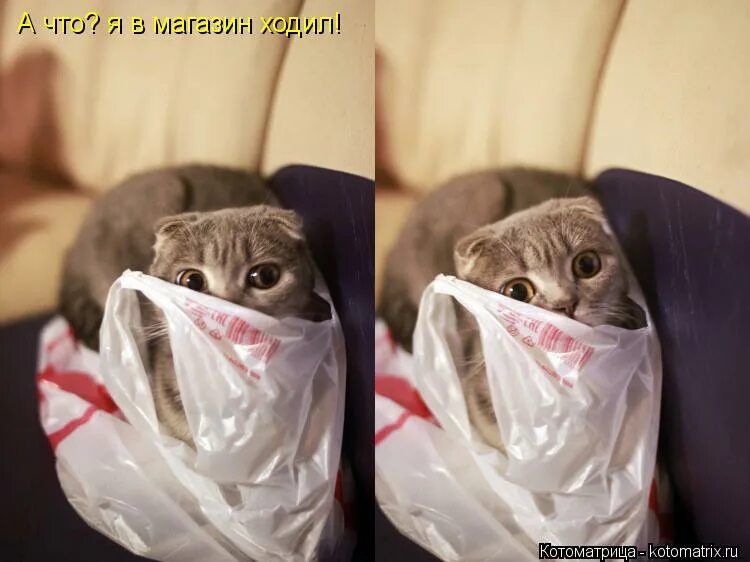 Лайфхаки для стирки. Что делать забыла положить. Что делать?. Забыла закрыть сумку. Заначка денег.