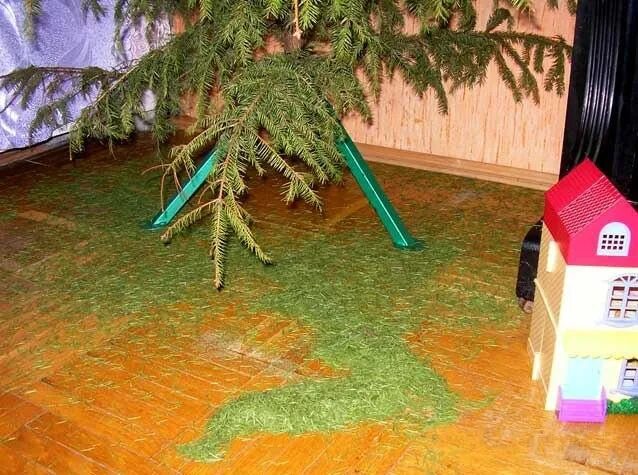 Что сделать чтоб елка не осыпалась. Елка осыпалась. новогодняя елка осыпалась. ель осыпается. ель новогодняя осыпалась.