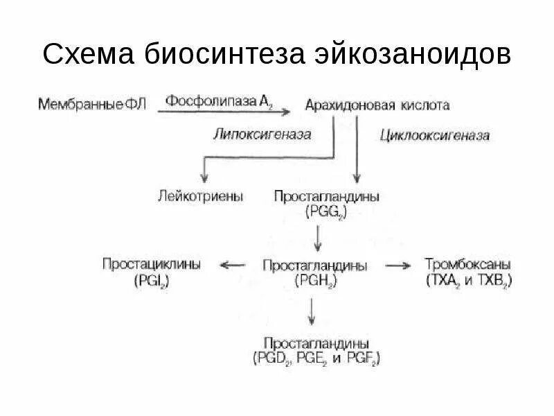 Общие закономерности токсикокинетики - презентация онлайн