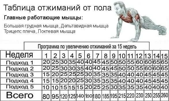 Схемы отжиманий от пола для накачки мышц. Упражнения по отжиманию от пола. Схема тренировок отжимания от пола. Отжимания схема упражнения. Тренировка отжиманий дома