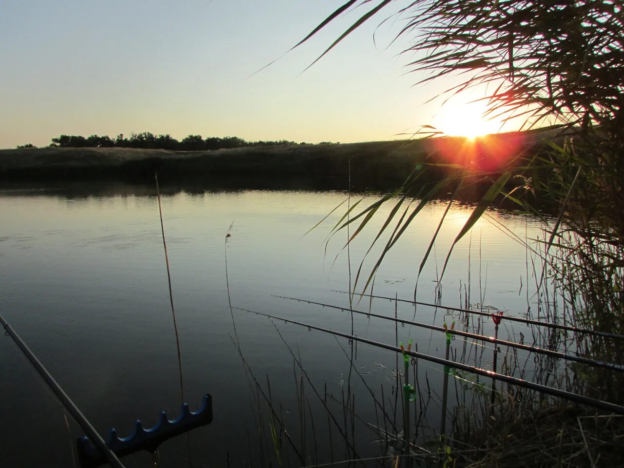 Верхняя хава платные пруды. Пруд таловской верхнехавский район. Пруд винный в верхнехавском районе. Пруд крутой лог верхнехавский р-н с приобретенка. Крутой пруд.