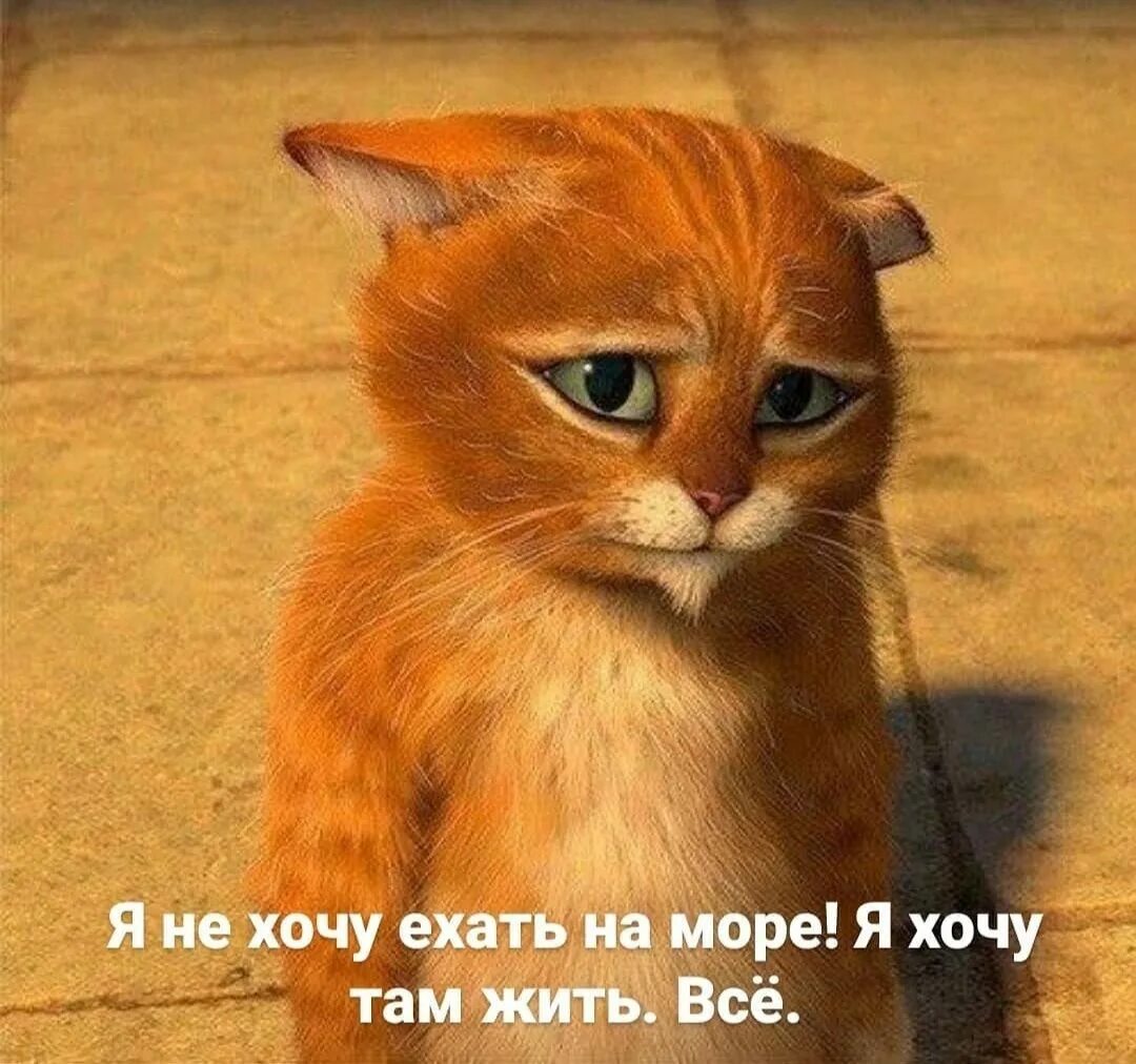 Покажи пожалуйста животным