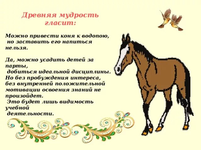 Пословица про лошадь. Притча про лошадь. притча можно привести лошадь к водопою. поговорки про лошадь. лошадь привести на водопой.