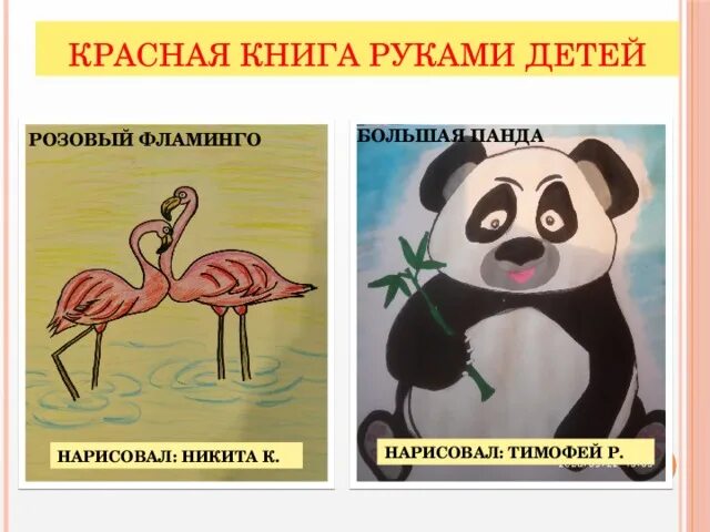 Красная книга глазами детей 2023 итоги