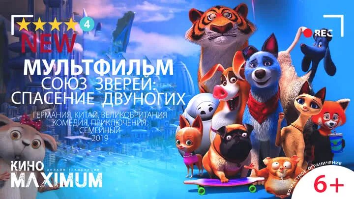 Союз зверей спасения. Союз зверей спасение двуногих мультфильм 2019. союз зверей: спасение двуногих (2019) арты. союз зверей спасение двуногих тигр. союз зверей спасение двуногих кошечка белла.
