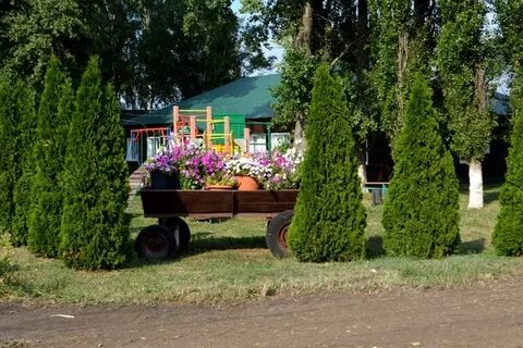 Погода затон воробьевского воронежская область