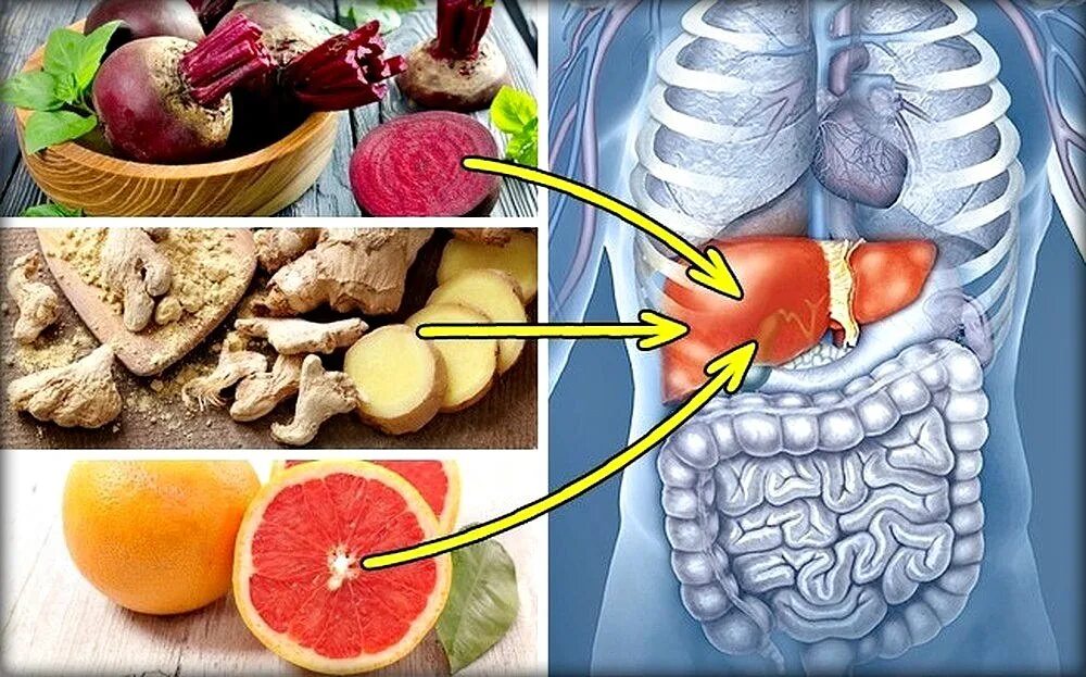Как организм человека очищается. Что кушать для печени. Продукты для кишечника и печени. Продукты для очищения печени от токсинов. Еда для здорового кишечника.