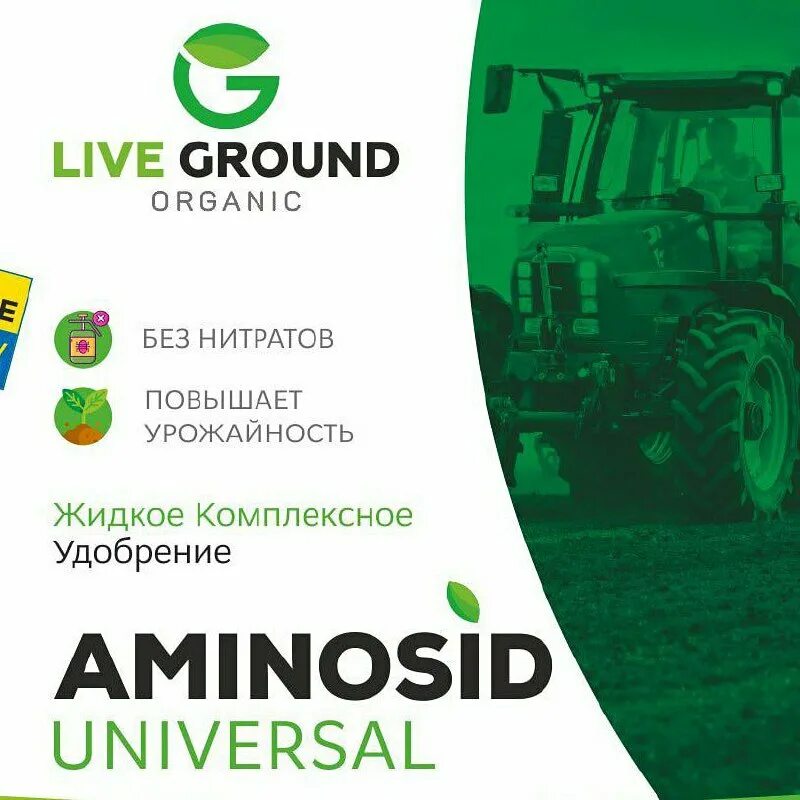 Live ground. Live ground organic в таджикистане адрес. Easy ground. Ground zero 2011 festival. Live ground.