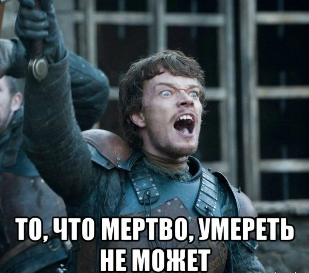 i?id=d9ad36030da2e52b740fc79a914eb28c_l-