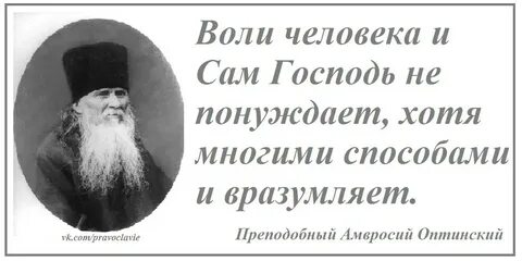 В совете племени вразумленные опытом