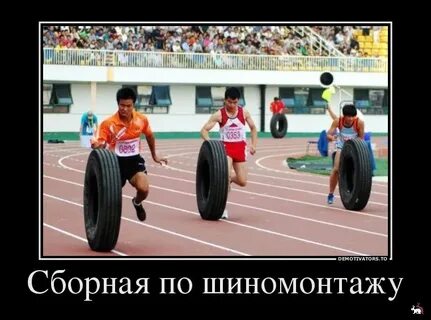 Приколы про резину