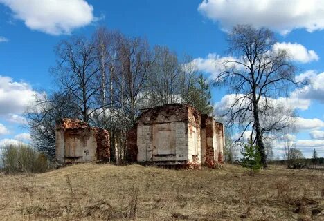 Бабаевская область