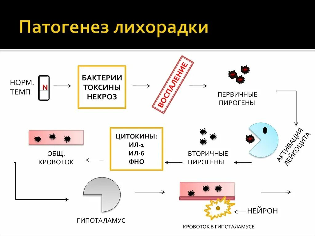 Механизм развития лихорадки этиологический фактор. Схема патогенеза лихорадки патофизиология. Этиология и патогенез лихорадки кратко. Механизм развития лихорадки патофизиология.