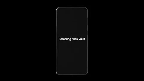Knox samsung что это