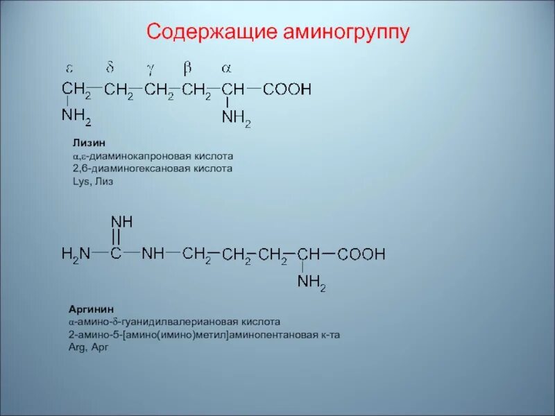 2 6 Диаминогексановая кислота. 2 6 Диаминогексановая кислота структурная. 2 4 Диаминогексановая кислота. 2 5 Аминопентановая кислота.