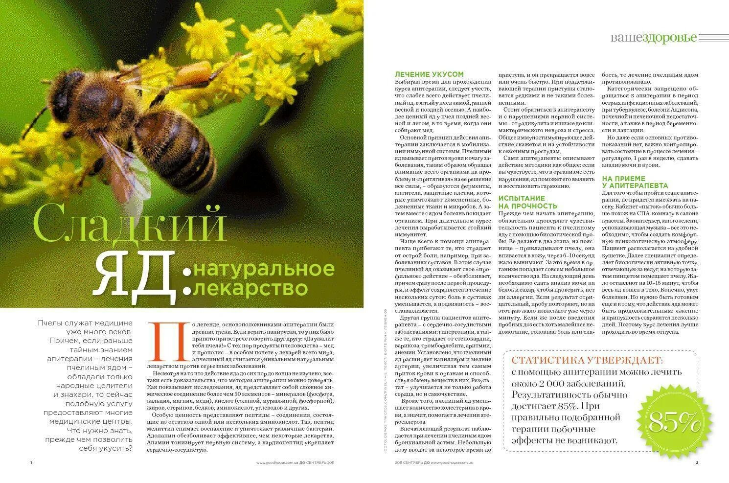 Пчелиный яд апитерапия. Терапия пчелиными укусами. Лечение пчелиным ядом