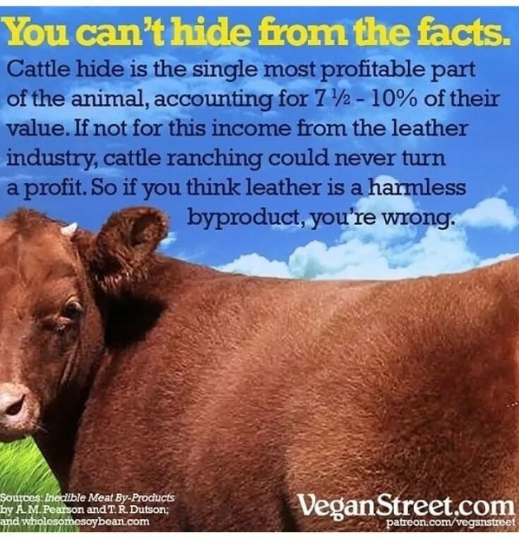 Kindness to animals. This is the meat that comes from a Cow.. Thide.