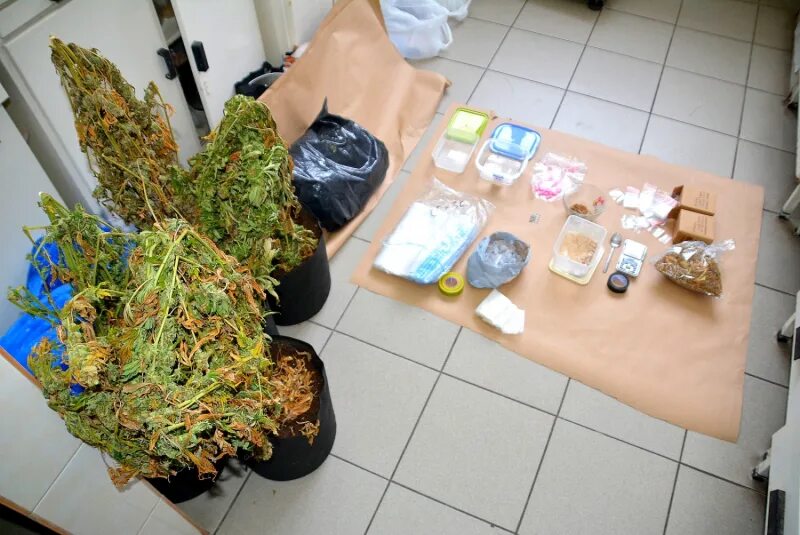 Лечение алкоголизма и наркозависимости. Крк альянс наркологическая клиника на таежной. Наркологическая клиника в москве. Горячая линия при проблемах с зависимостями. Реабилитация наркомании смоленск smolensk narkolog express.