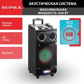 Портативная колонка с караоке с радио