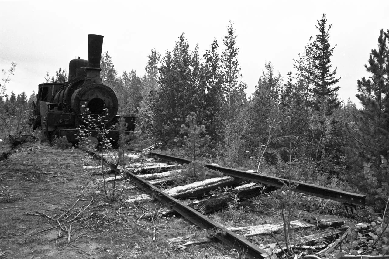 Стройка 501 Трансполярная магистраль. Трансполярная магистраль мертвая дорога. Трансполярная магистраль (стройка 501—503). Сталинская железная дорога Салехард Игарка.