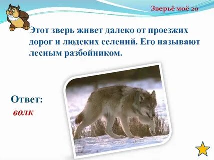 Ответ волк