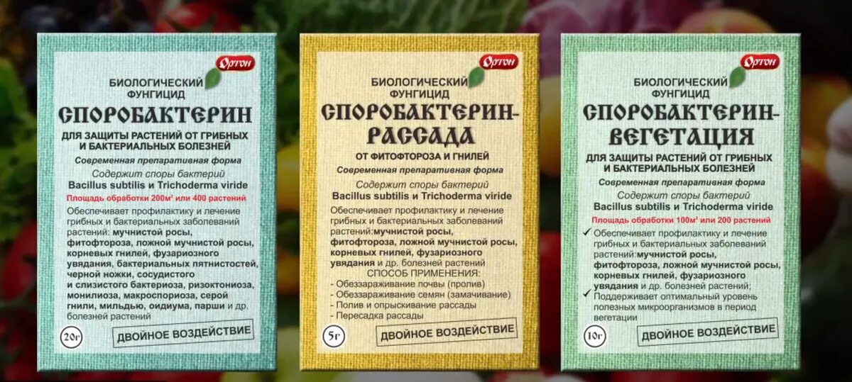 Фунгициды применение. Споробактерин рассада. Споробактерин для семян. Биопрепараты для обеззараживания почвы для рассады. Биологический фунгицид для обеззараживания почвы.