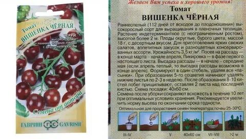 Вишня красная томат схема посадки